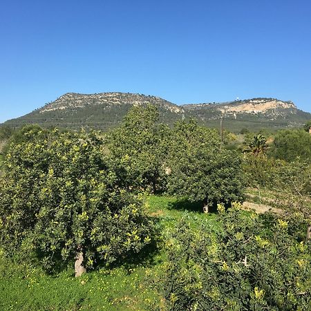Son Sampol Llucmajor (Mallorca) Exterior foto